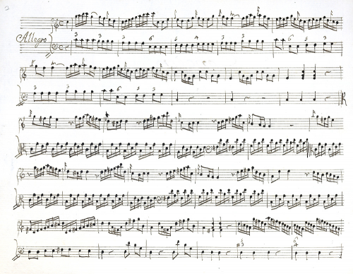 Sborgi - Harpsichord Concerto in C major, RicP 204b - Solo harpsichord (RicS 88 version)