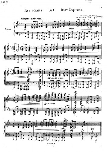 Nechayev - Deux Esquisses - Score