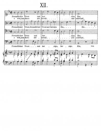 Anonymous - Freundlicher Trost und herzigs Ein - Score