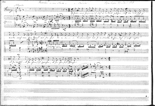 Gerson - Gretchen in der Stadt von Castelli - Score