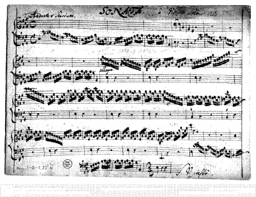 Anonymous - Violin Sonata in E major - Score