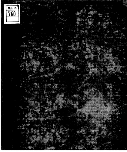 Kiesewetter - Geschichte der europäisch-abendländischen - Complete Book
