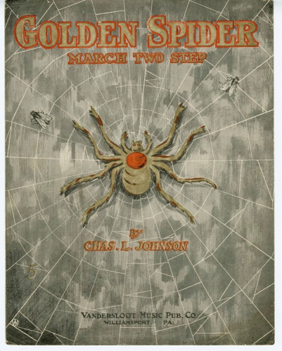 Johnson - Golden Spider Rag - Score