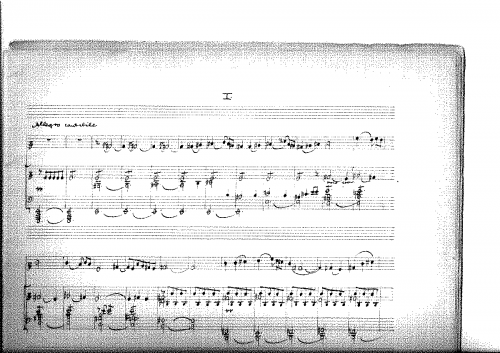 Hermann - Cello Concerto (unfinished) - For Cello and Piano (composer) - Score