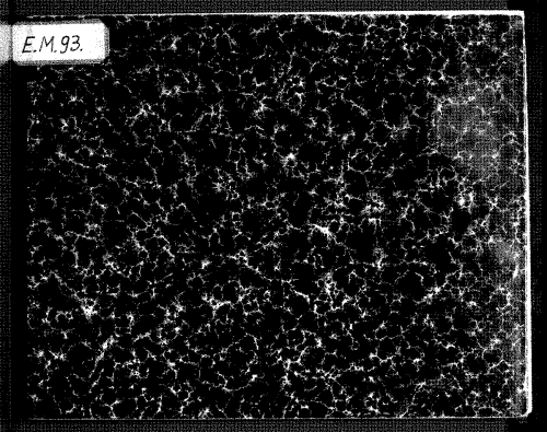 Anonymous - Trio Sonata in D major