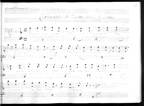 Conti - Gira per queste selve - Score