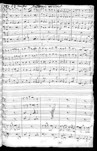 Meister - Confitebor - Score