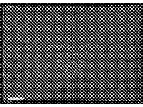 Beethoven - Piano Sonata No. 25 - Score