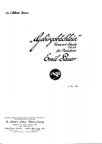 Sauer - Concert Etudes Nos.21-30 - Etude No. 25, complete score