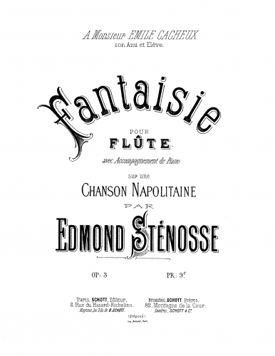 Sténosse - Fantaisie sur une chanson napolitaine, Op. 3 - Flute Part