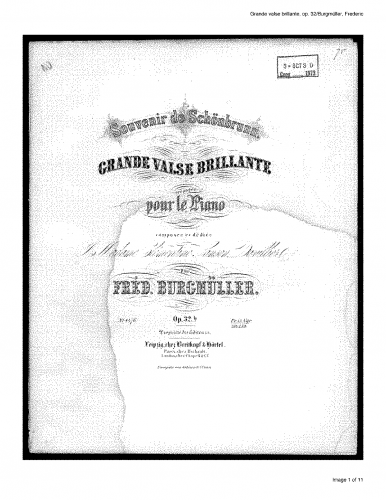 Burgmüller - Souvenir de Schönbrunn, Op. 32 - Score