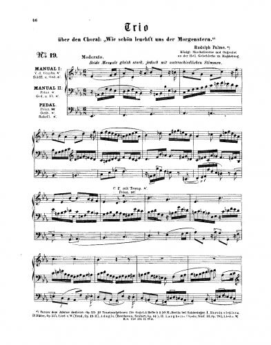 Palme - Trio über den Choral 'Wie schön leucht't uns der Morgenstern' - Score