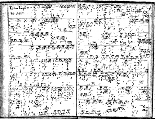 Schildt - Paduana Lagrima - Score