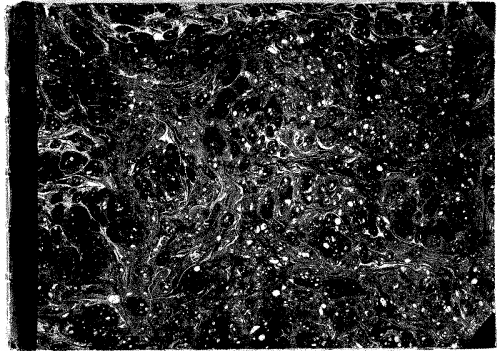 Vogel - Démophon - Ouverture - Score