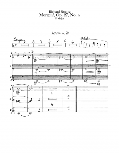 Strauss - 4 Lieder, Op. 27 - 4. Morgen! - For Voice & Orchestra