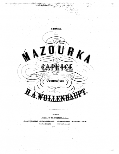 Wollenhaupt - Mazurka-caprice - Score