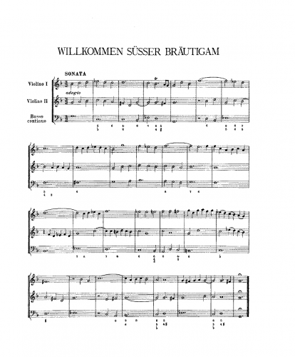 Lübeck - Willkommen, süßer Bräutigam - Score