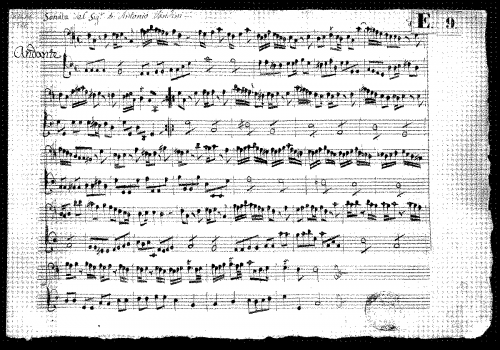 Vandini - Cello Sonata in C major, D-B KHM 5528 - Score