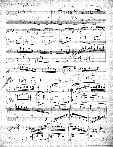 Grieg - Agitato - Score