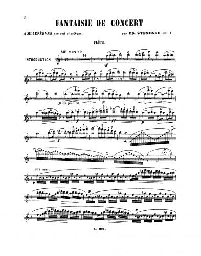 Sténosse - Fantaisie de concert, Op. 1 - Flute Part