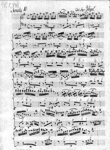 Vogel - Flute Sonata in E minor - Score