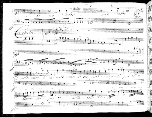 Ferrandini - Godo che molti amanti - Score