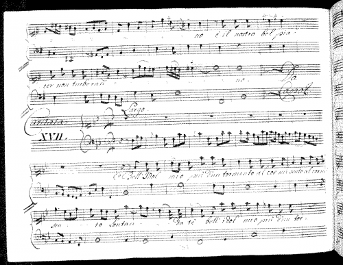 Ferrandini - Bell'idol mio, più d'un tormento - Score