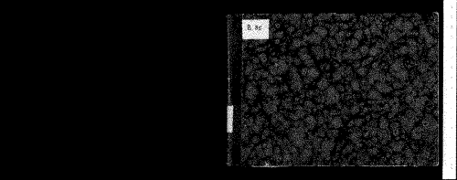 Ganassi - Lettione seconda - Complete Book