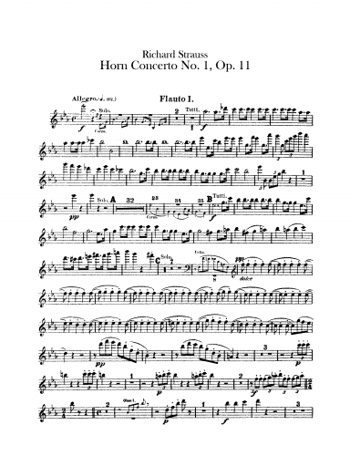 Strauss - Concerto No. 1 for Horn and Orchestra, Op. 11