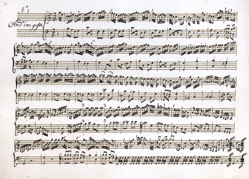 Mei - 2 Harpsichord Sonatas - Score