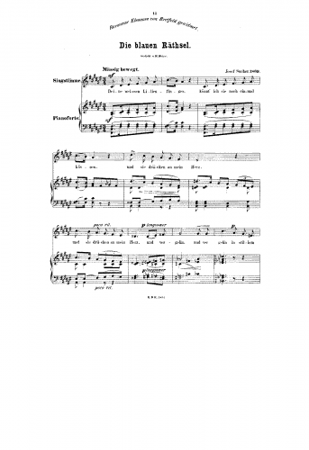 Sucher - Die blauen Räthsel - Score