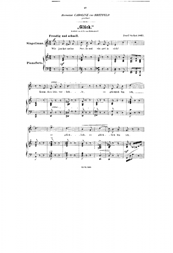 Sucher - Glück - Score