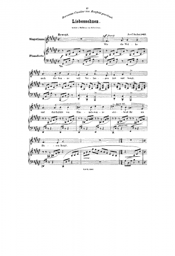 Sucher - Liebessehnen - Score