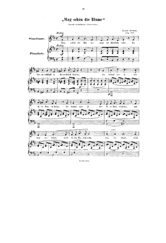 Sucher - Mag schön die Blume - Score