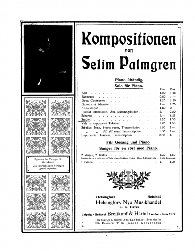 Palmgren - Studie - Score