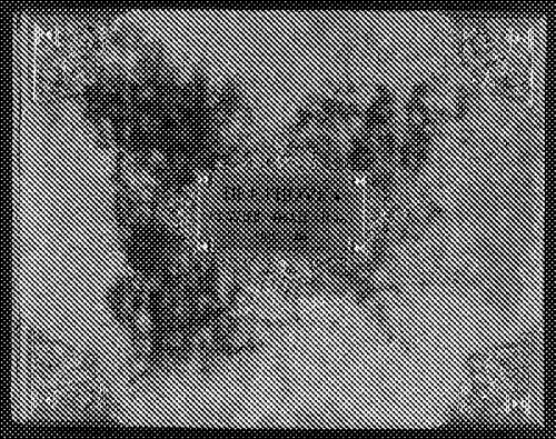 Beethoven - Piano Sonata No. 15 - Score