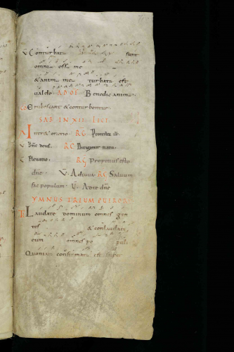 Gregorian Chant - Cantatorium Codex Sangallensis 359 - Main Part of the Codex