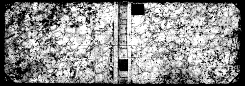 Petrucci - Motetti A - Score