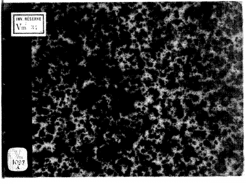 Marenzio - Nono libro de madrigali a cinque voci