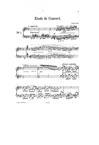 Liszt - 3 Ãtudes de concert - Piano Score Selections - 1. Il lamento (S.144/1)