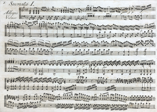 Giuliani - Sonata for Harpsichord and Violin