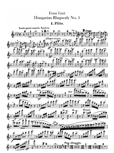 Liszt - Hungarian Rhapsody No. 14 - For Orchestra (Liszt/Doppler)