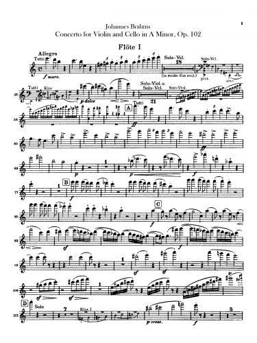 Brahms - Concerto for Violin and Cello ("Double Concerto")