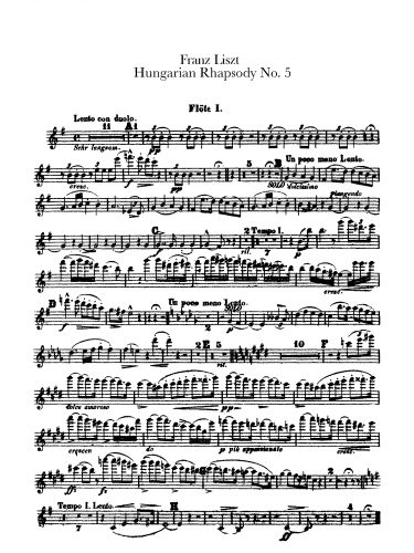 Liszt - Hungarian Rhapsody No. 5 - For Orchestra (Liszt/Doppler)