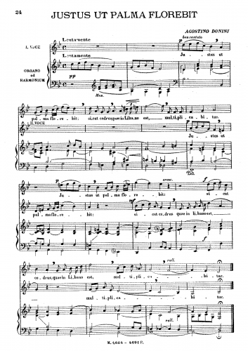 Donini - Justus ut palma florebit - Vocal Score