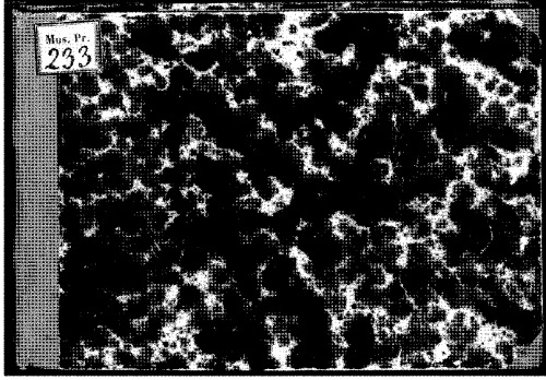 Attaingnant - Magnificat sur les huit tons avec Te Deum laudamus et deux Preludes - Score