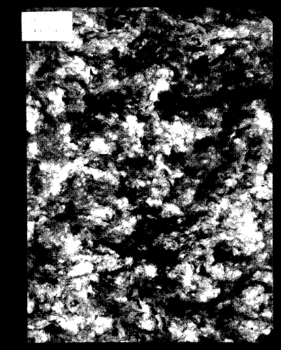 Kralik - Reigen - Score