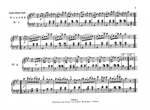 Strauss Sr. - Erinnerungs-Ländler - For Piano solo - Score