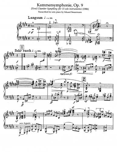Schoenberg - Kammersymphonie - For Piano Solo (Steuermann) - Score