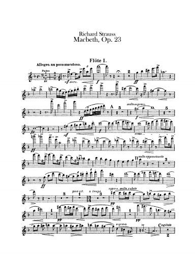 Strauss - Macbeth, Op. 23